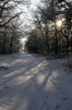 05. Winterlandschap_S
